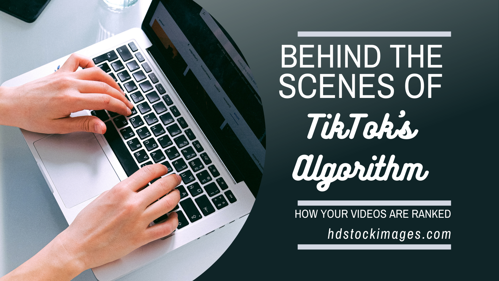"Behind the Scenes of TikTok's Algorithm: How Your Videos Are Ranked"