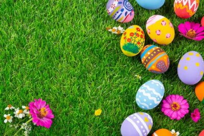 Free Photo | Colorful easter egg on green grass
