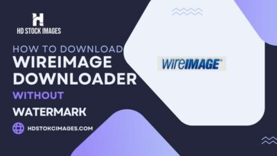 How to download Wireimage Downloader without watermark for free