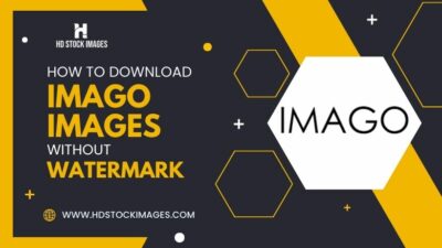 How to download Imago Images without watermark for free