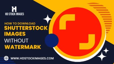 How to download Shutterstock images without watermark for free