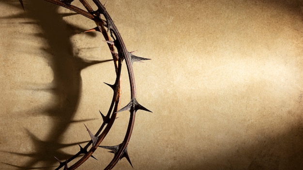 Free Photo | Top view crown of thorns with copy space