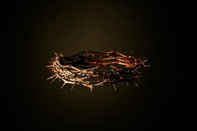 Free Photo | Still life of crown of thorns