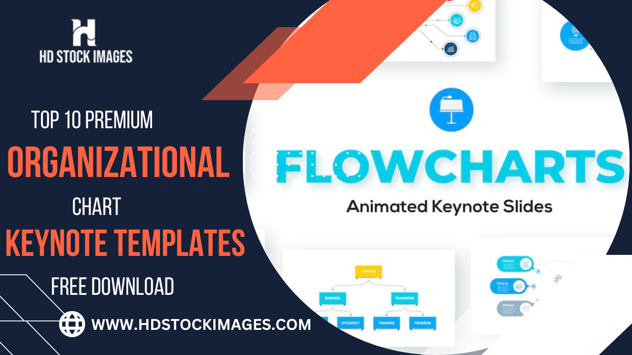 Top 10 Premium Organizational Chart Keynote Templates Free Download