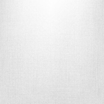 Free Vector | White canvas background