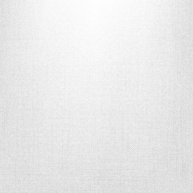 Free Vector | White canvas background