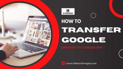 How to Transfer Google Photos to Computer