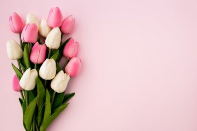Free Photo | Tulips bouquet on pink background with copyspace