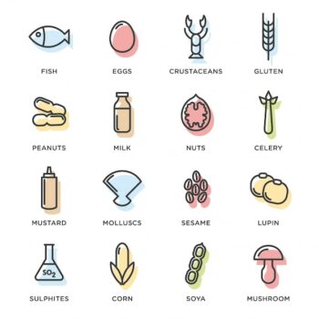 Free Vector | Food icons collection