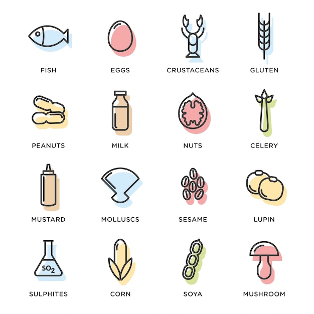 Free Vector | Food icons collection
