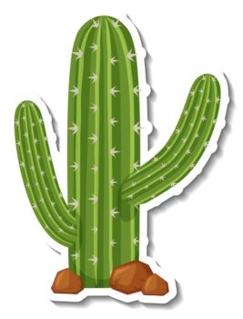 Free Vector | Saguaro cactus plant on white background