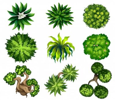 Free Vector | Topview of the different plants