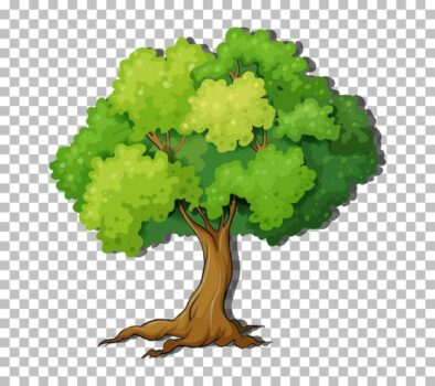 Free Vector | Tree on transparent background