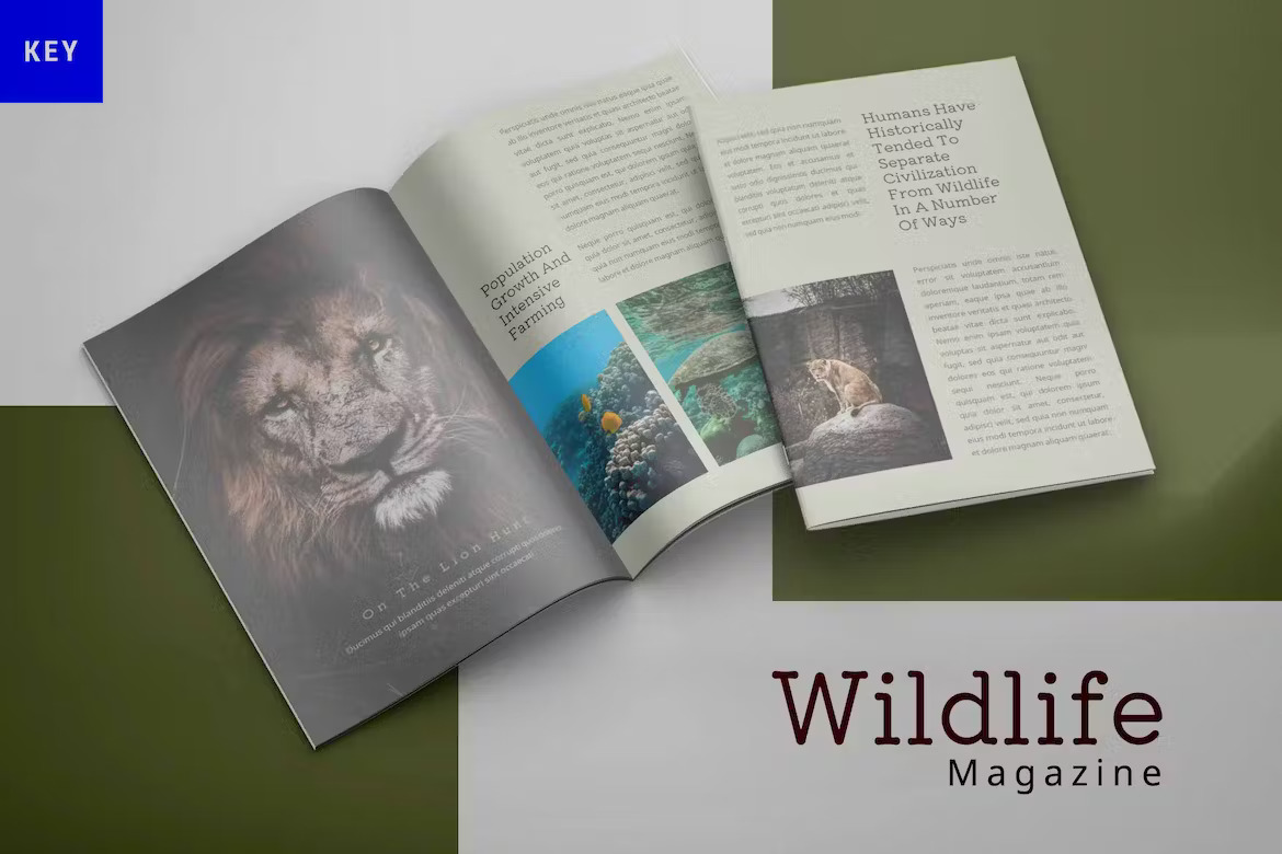 Wildlife Magazine Keynote Template Template Free Download