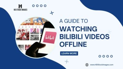 No Internet, No Problem: A Guide to Watching Bilibili Videos Offline