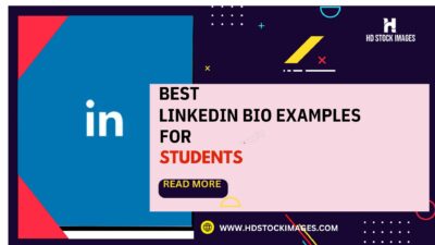 an image of Best Linkedin Bio Examples for Students