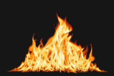 Free Photo | Bonfire flame element, realistic burning fire image