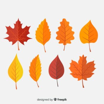 Free Vector | Flat autumn forest leaves collection