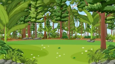 Free Vector | Forest scene with various forest trees