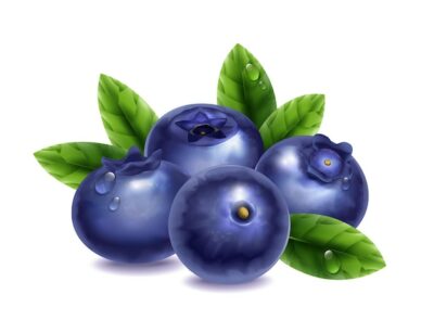 Free Vector | Fresh blueberries with water drops and green leaves on white background realistic vector illustration