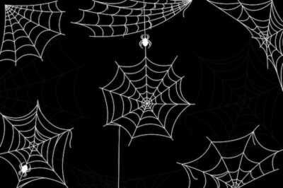 Free Vector | Halloween cobweb wallpaper