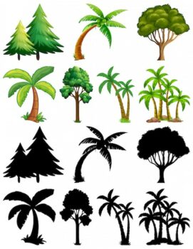 Free Vector | Set of plant and tree with its silhouette