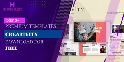 Top 6+ Creativity Keynote Templates Free Download