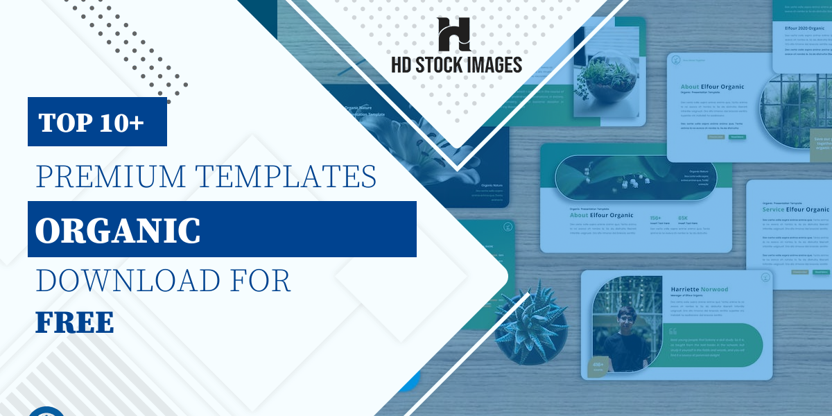 Top 6+ Organic Keynote Templates Free Download