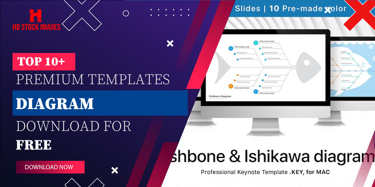 Top 6+  Keynote Diagram Templates Free  Download