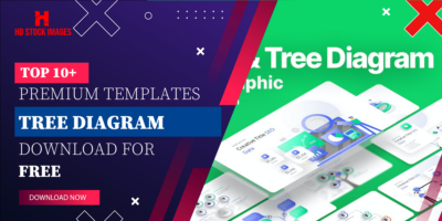 Top 6+  Keynote Tree Diagram Template Free  Download