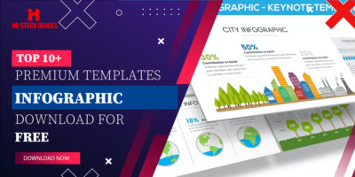 Top 6+  Keynote Infographic Template Free  Download