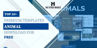 Top 6+ Animal Keynote Templates Free Download