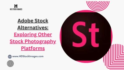 An image of Adobe Stock Alternatives: Exploring Other Stock Photography Platforms