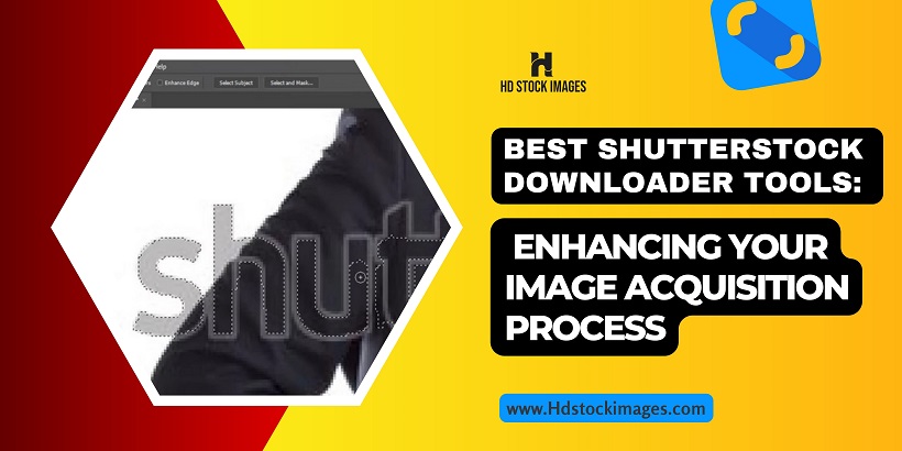 Best Shutterstock Downloader Tools: Enhancing Your Image Acquisition Process