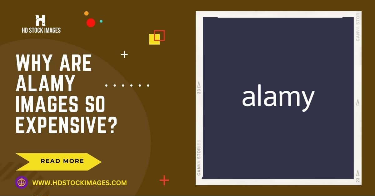 Why Are Alamy Images So Expensive? Factors Affecting Pricing and Value