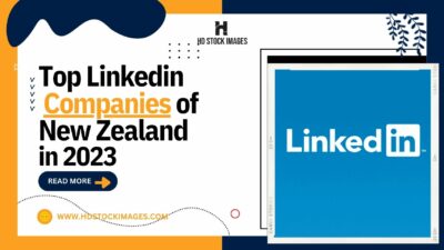 an image of List of Top Linkedin Companies of New Zealand in 2023