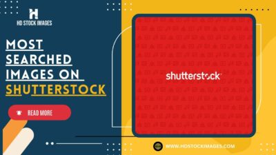 an image of Exploring the Most Searched Images on Shutterstock: Understanding User Preferences and Trends