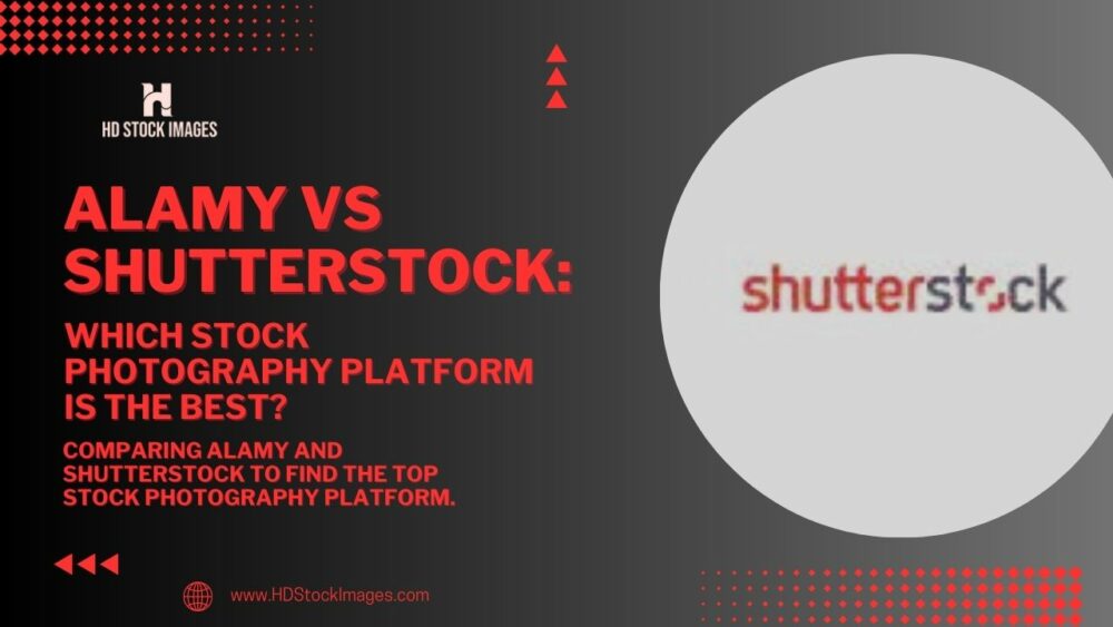Alamy vs Shutterstock: Which Stock Photography Platform is the Best?