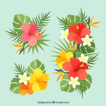 Free Vector | Beautiful tropical flowers set