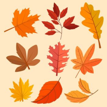 Free Vector | Flat autumn leaves collection