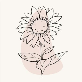 Free Vector | Flat simple flower outline illustration