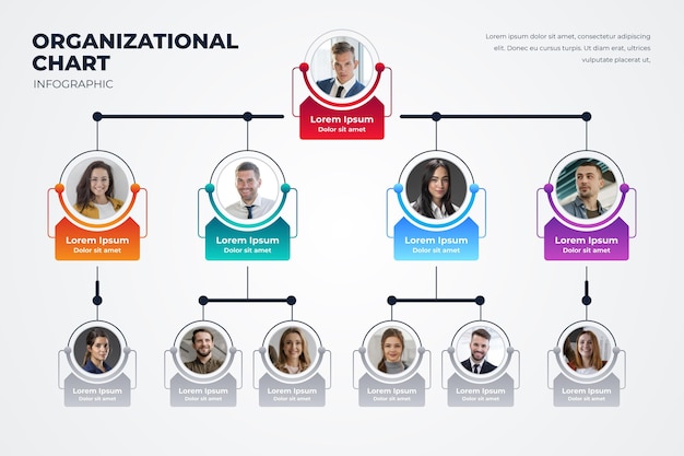 Free Vector | Gradient organizational chart with photo
