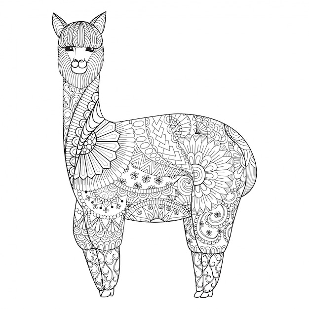 Free Vector | Hand drawn llama background