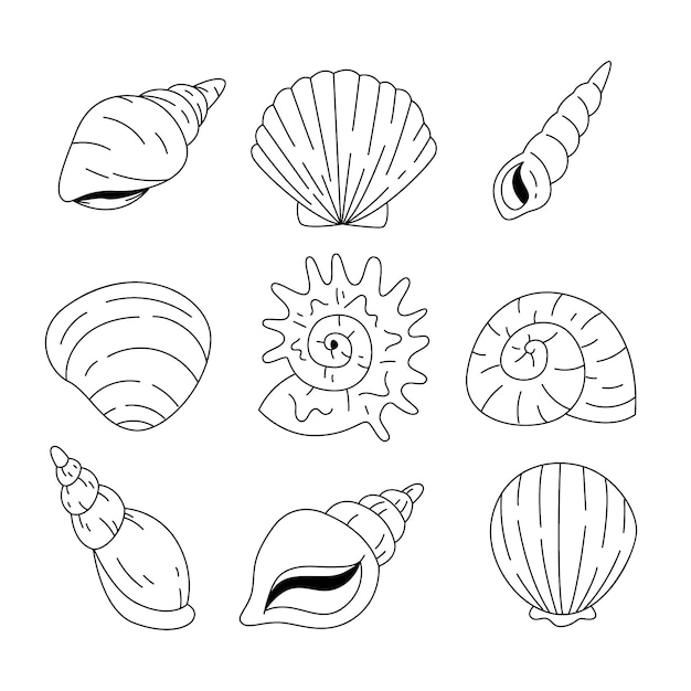 Free Vector | Hand drawn seashell outline illustration