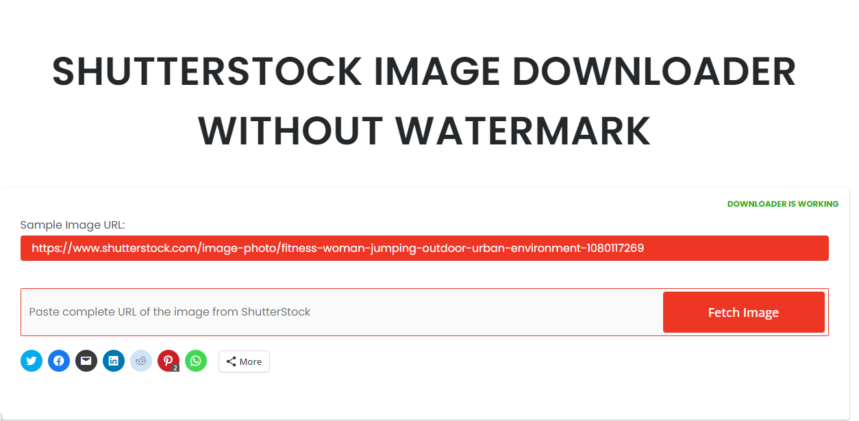 Best Shutterstock downloader by IMG panda.com