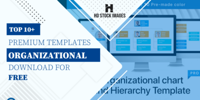 Top 6+  PowerPoint Organizational Chart Template Free  Download