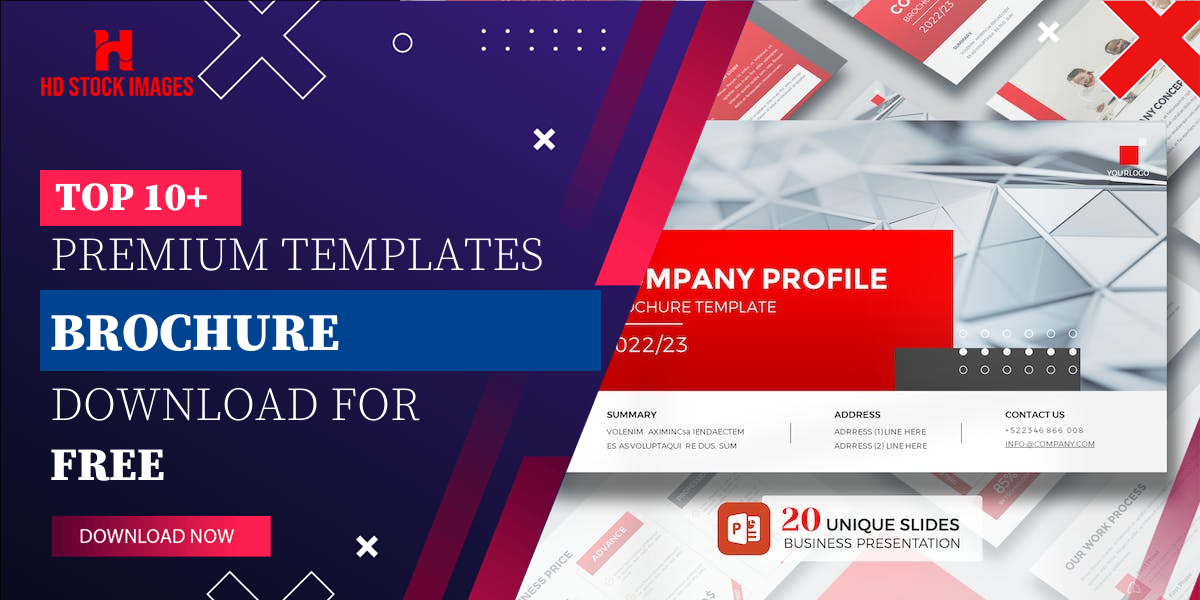 Top 6+  PowerPoint Brochure Template Free Download