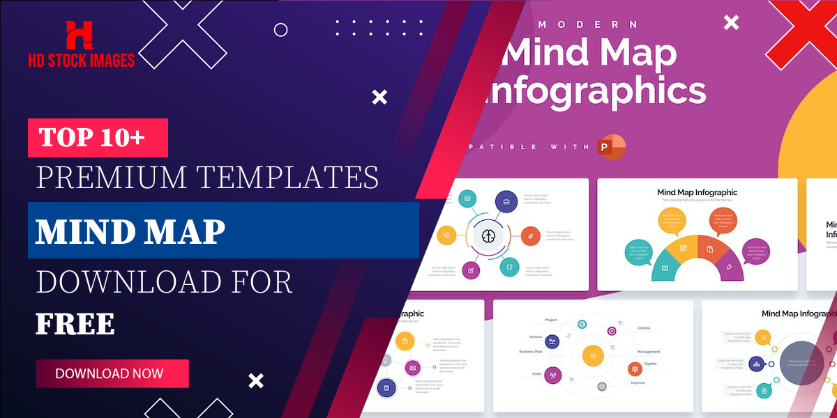 Top 6+  PowerPoint Mind Map Template Free  Download
