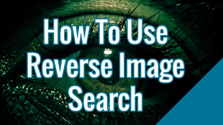 An image of Reverse Image Search