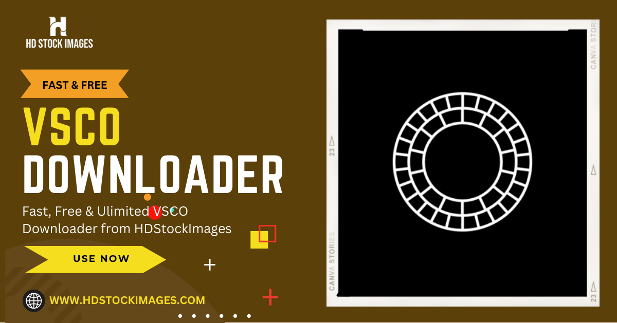 vsco gallery downloader